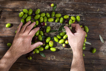 Similar image 11960406