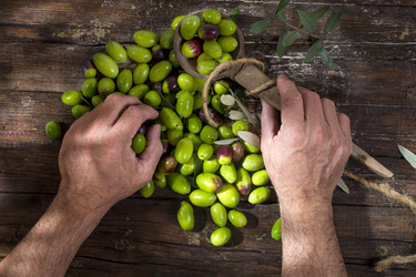 Similar image 11960409