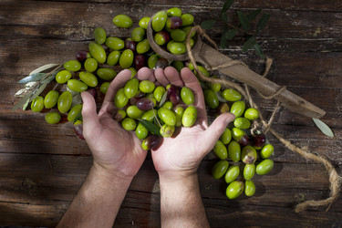 Similar image 11960410