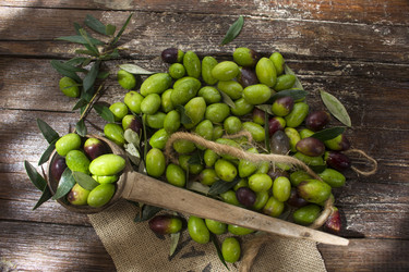 Similar image 11960253