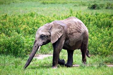 Similar image 11958295