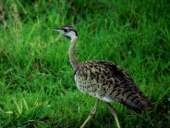 Similar image 11958296