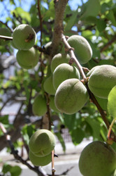 Similar image 12038398