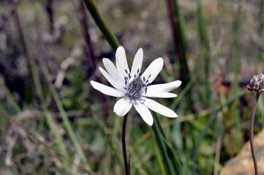 Similar image 11958298