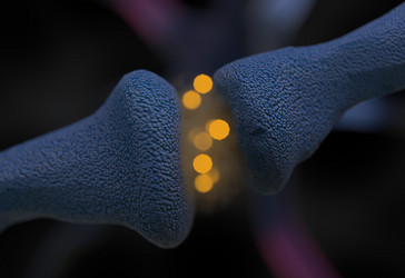 Similar image 11961213