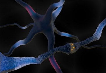 Similar image 11961216