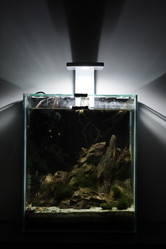 Similar image 12036904