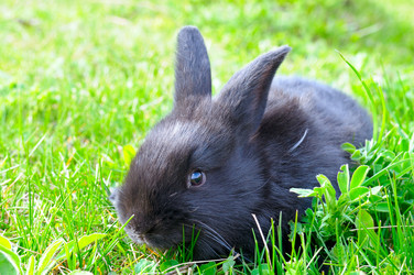 Similar image 12036507