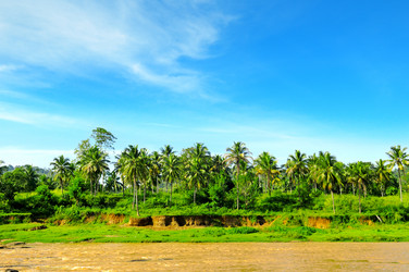 Similar image 12036509