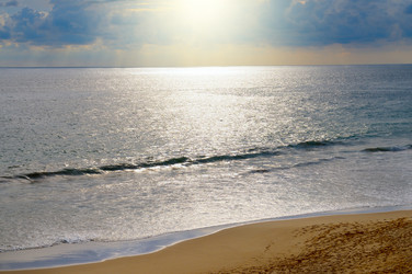 Similar image 12036510