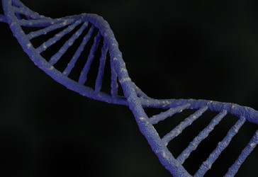 Similar image 11961546