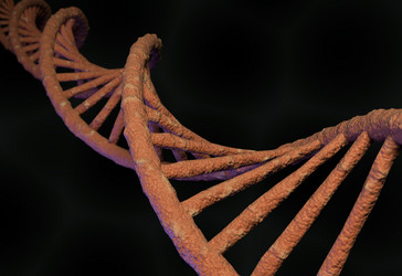 Similar image 11961198