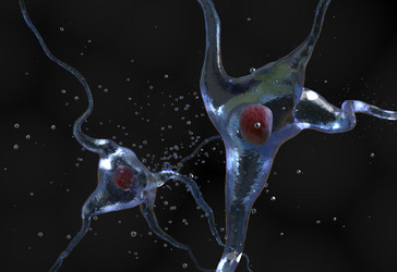 Similar image 11961113