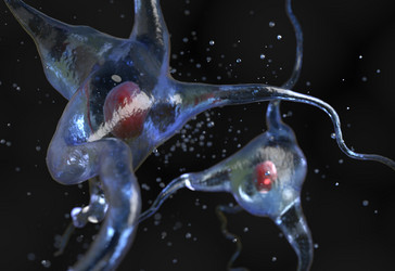 Similar image 11961258