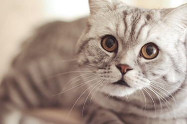 Similar image 11960577