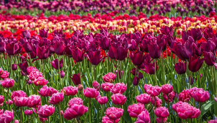 Similar image 12035001