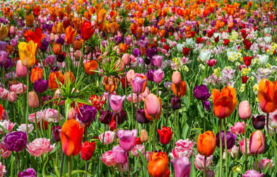 Similar image 12035033