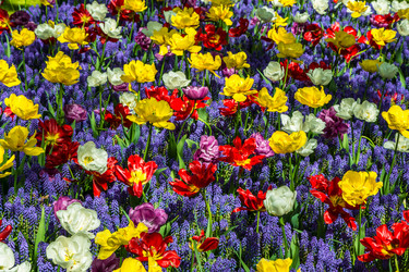 Similar image 12035051