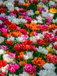 Similar image 12035279