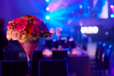 Similar image 12036906