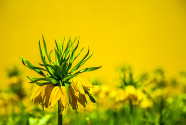 Similar image 12035099