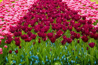 Similar image 12035311