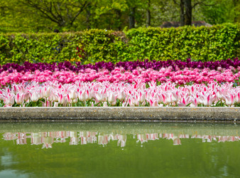 Similar image 12035320