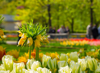 Similar image 12035357