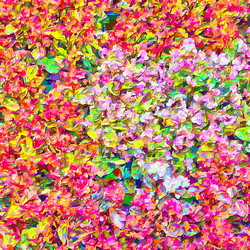 Similar image 11960974