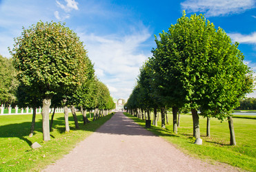 Similar image 11960291