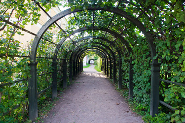 Similar image 11960296