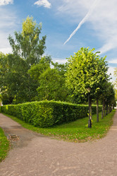 Similar image 11960348