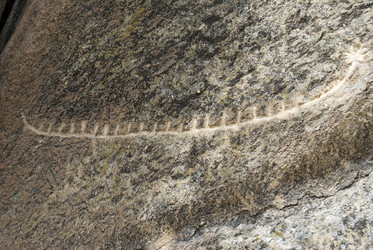 Similar image 11969330