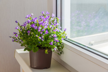 Similar image 11967144