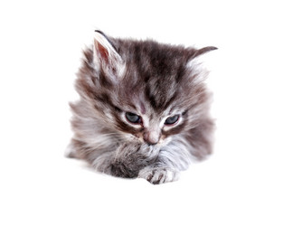 Similar image 11959192