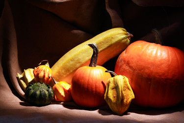 Similar image 11959196