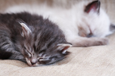 Similar image 11959144