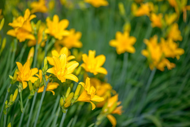 Similar image 11965059