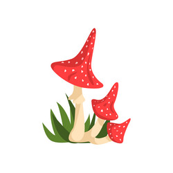 Similar image 11963700