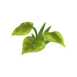 Similar image 11963712