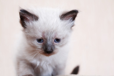 Similar image 11959212