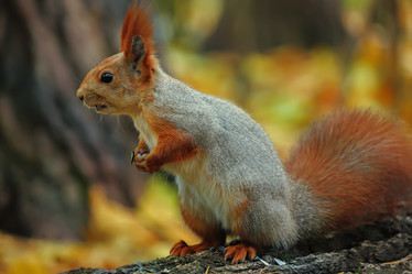 Similar image 11958730