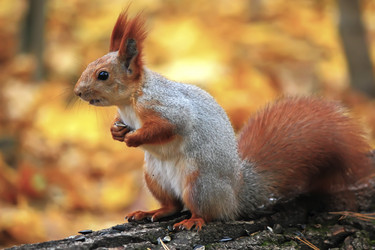 Similar image 11958732