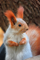 Similar image 11958733