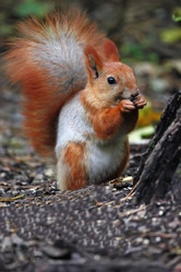 Similar image 11958734