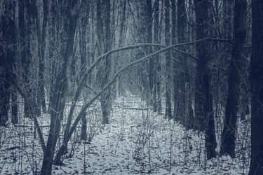 Similar image 12038276