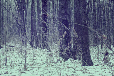 Similar image 12038277