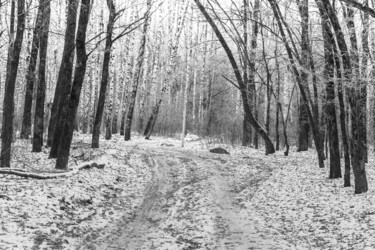 Similar image 12038278