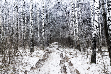 Similar image 12038279