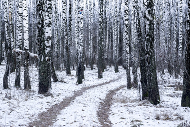 Similar image 12038294